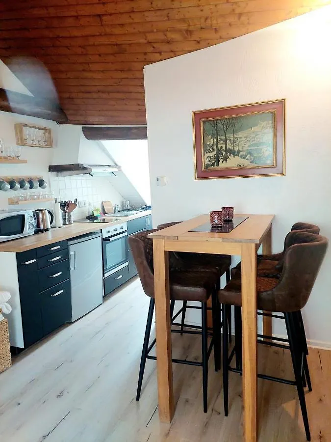 Apartment Chalet Charm In The Heart Of The Old Town Annecy