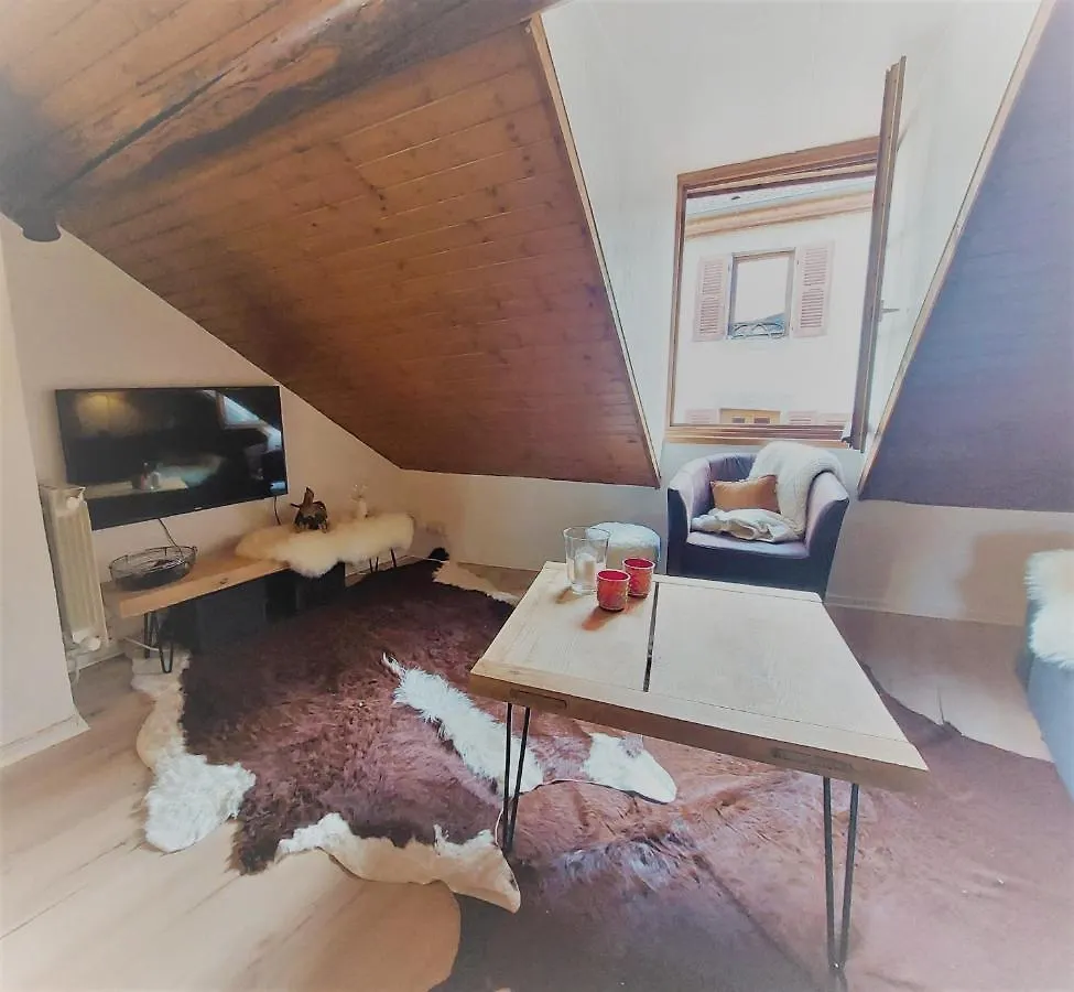 Apartment Chalet Charm In The Heart Of The Old Town Annecy